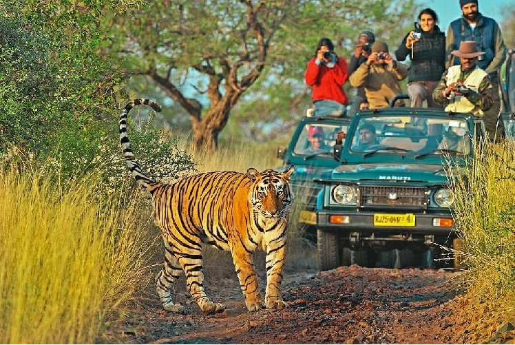 Rajasthan National Park